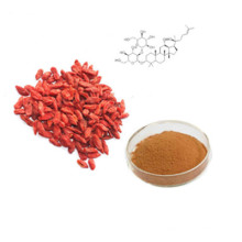 Poudre de jus de fruit de baies de Goji fiable